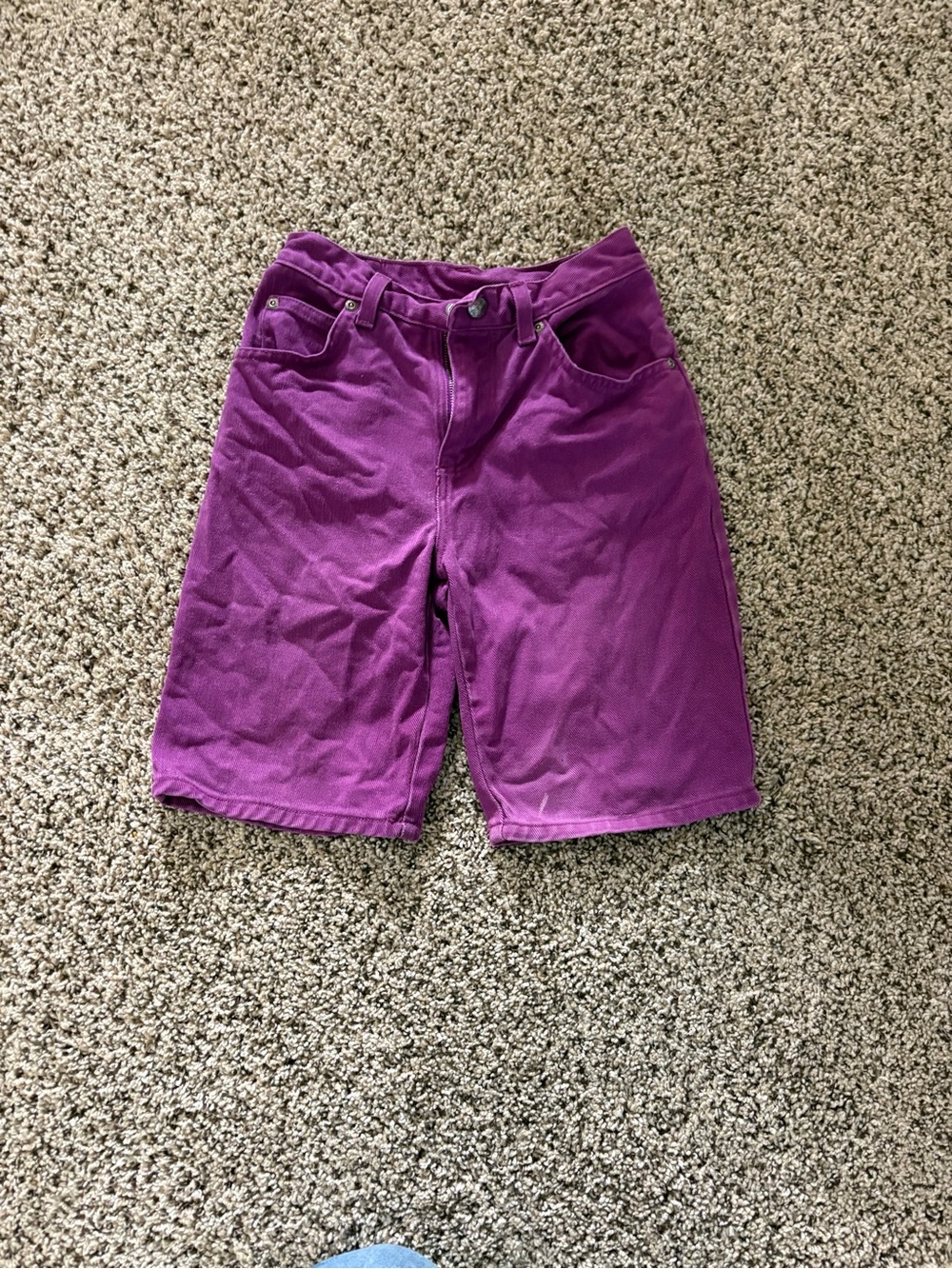 Vintage Arizona Jean Company Purple Knee-Length Shorts